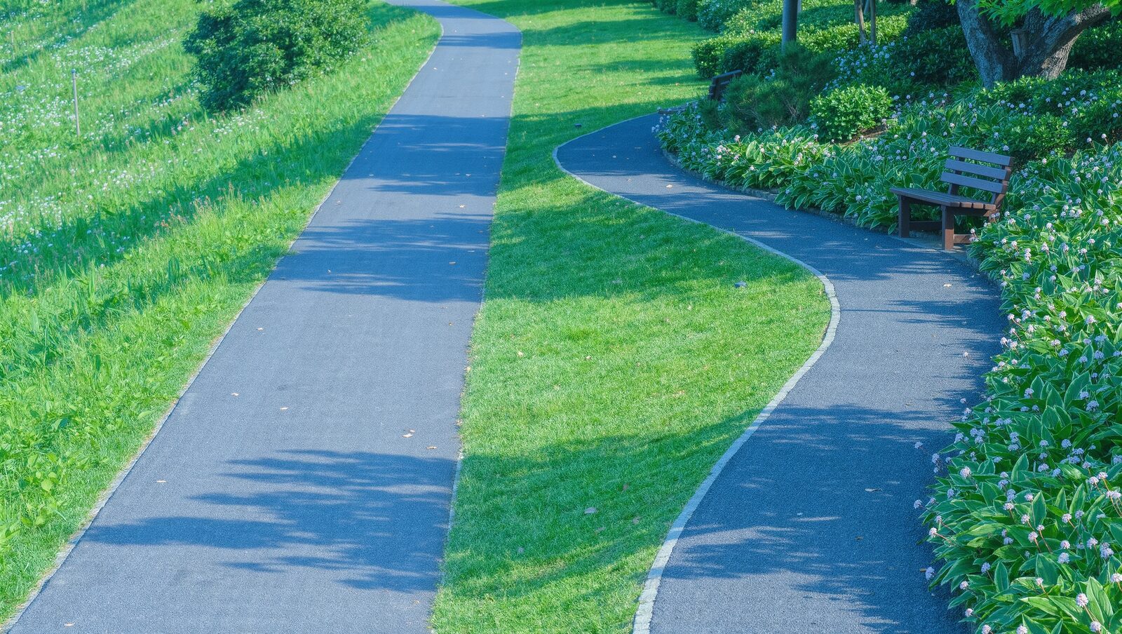 まっすぐな道とベンチのある遠回りの散歩道が並ぶ公園