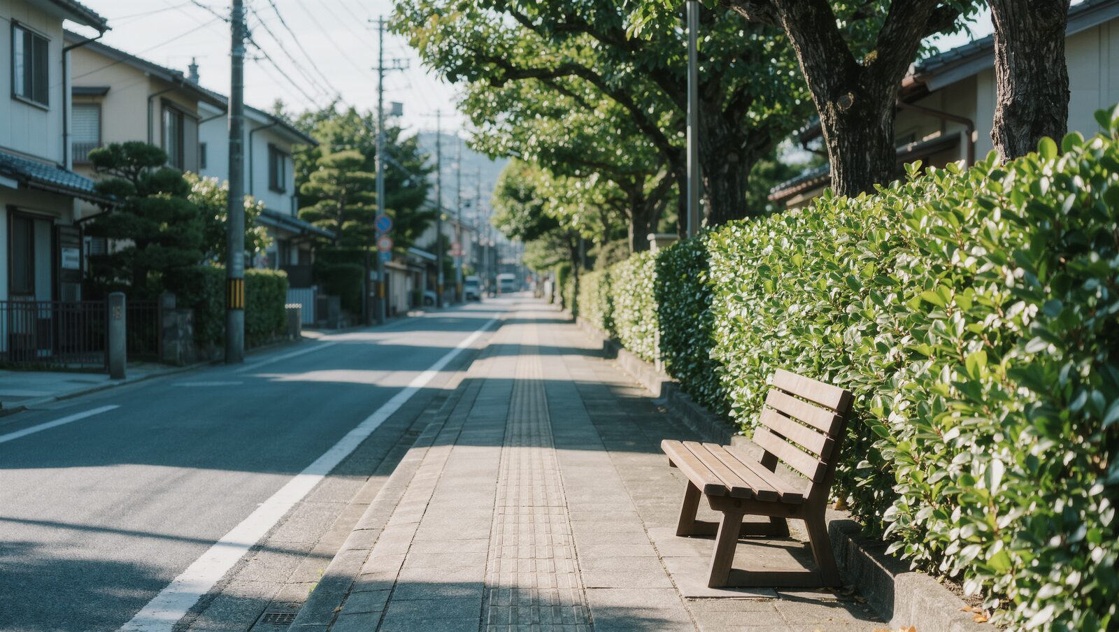 木漏れ日の差す静かな住宅街の歩道とベンチ