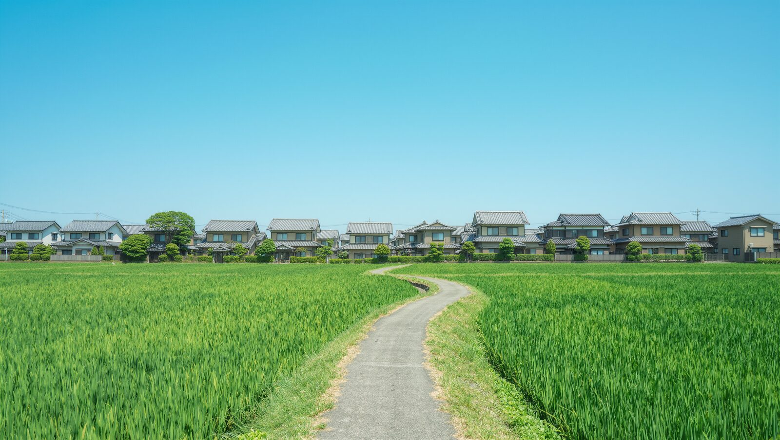 田んぼの中を続く小道と、その先に広がる郊外の住宅地