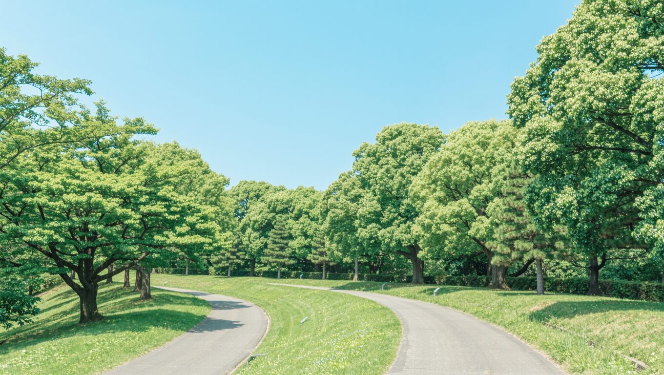 緑の公園で二手に分かれる静かな散歩道